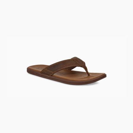 UGG Seaside Leather - Flip Flops Herre - Brune (NO-B253)